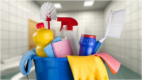 Professional carpet cleaners working on a living room carpet in Penge
