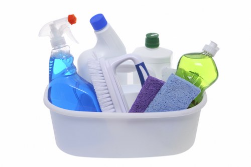 Professional fabric sofa cleaning process