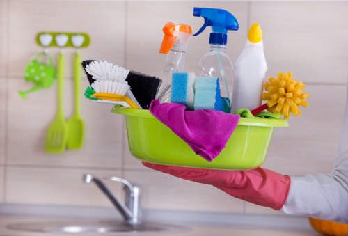 Professional pet stain odour removal in a Penge home carpet