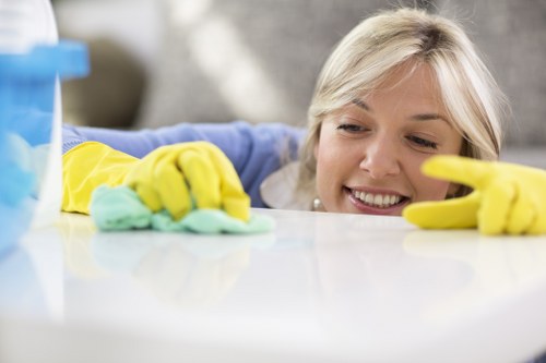 Steam cleaning a mattress for hygiene in Penge