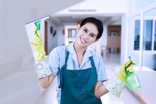 Specialist cleaning for stubborn pet urine odours in Penge
