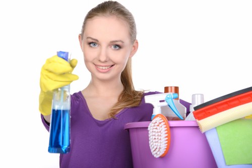 Liability and service standards for professional carpet cleaners
