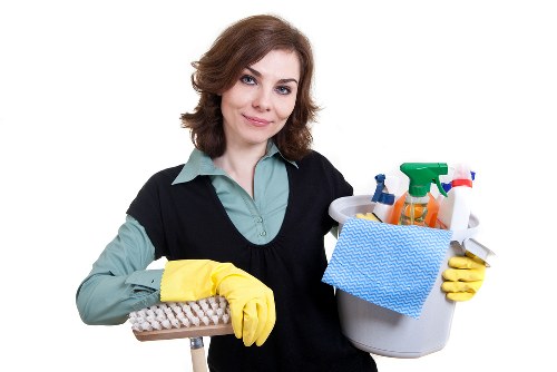 Deep cleaning treatment for pet odours in Penge upholstery